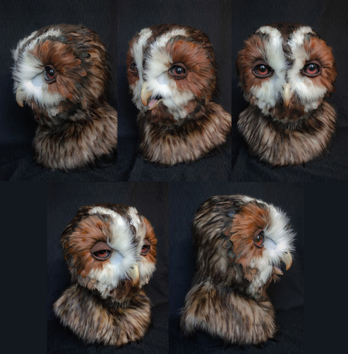  The tawny owl is up for auction! First completed last year, they’ve been updated with improve