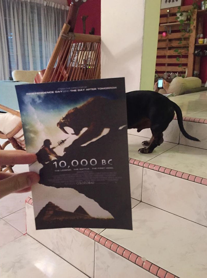 Hilarious Instagram movie poster mash-ups