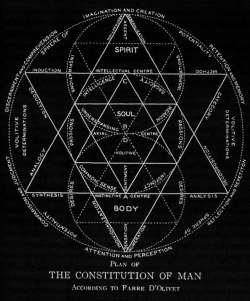 chaosophia218:  Plan of the Constitution