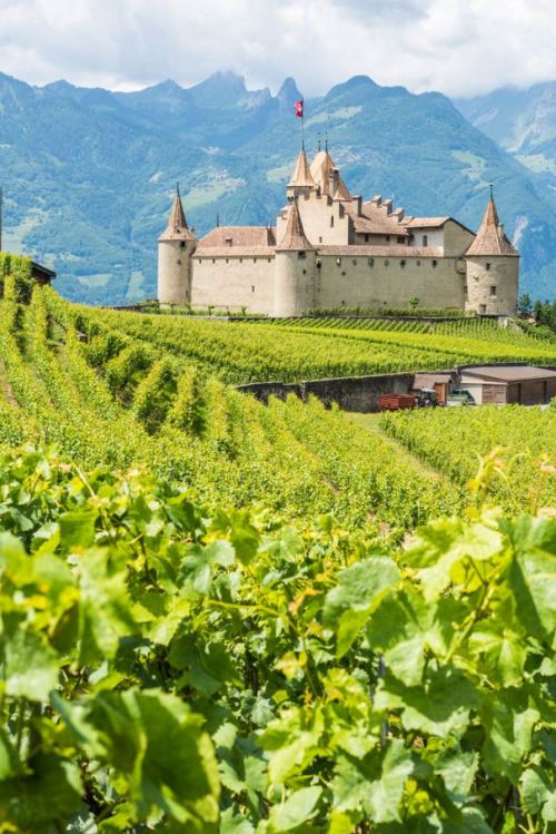 Aigle Castle, Vaud / Switzerland (by Ten2Ten).