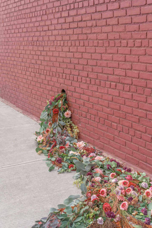 la-beaute&ndash;de-pandore: Brooke DiDonato