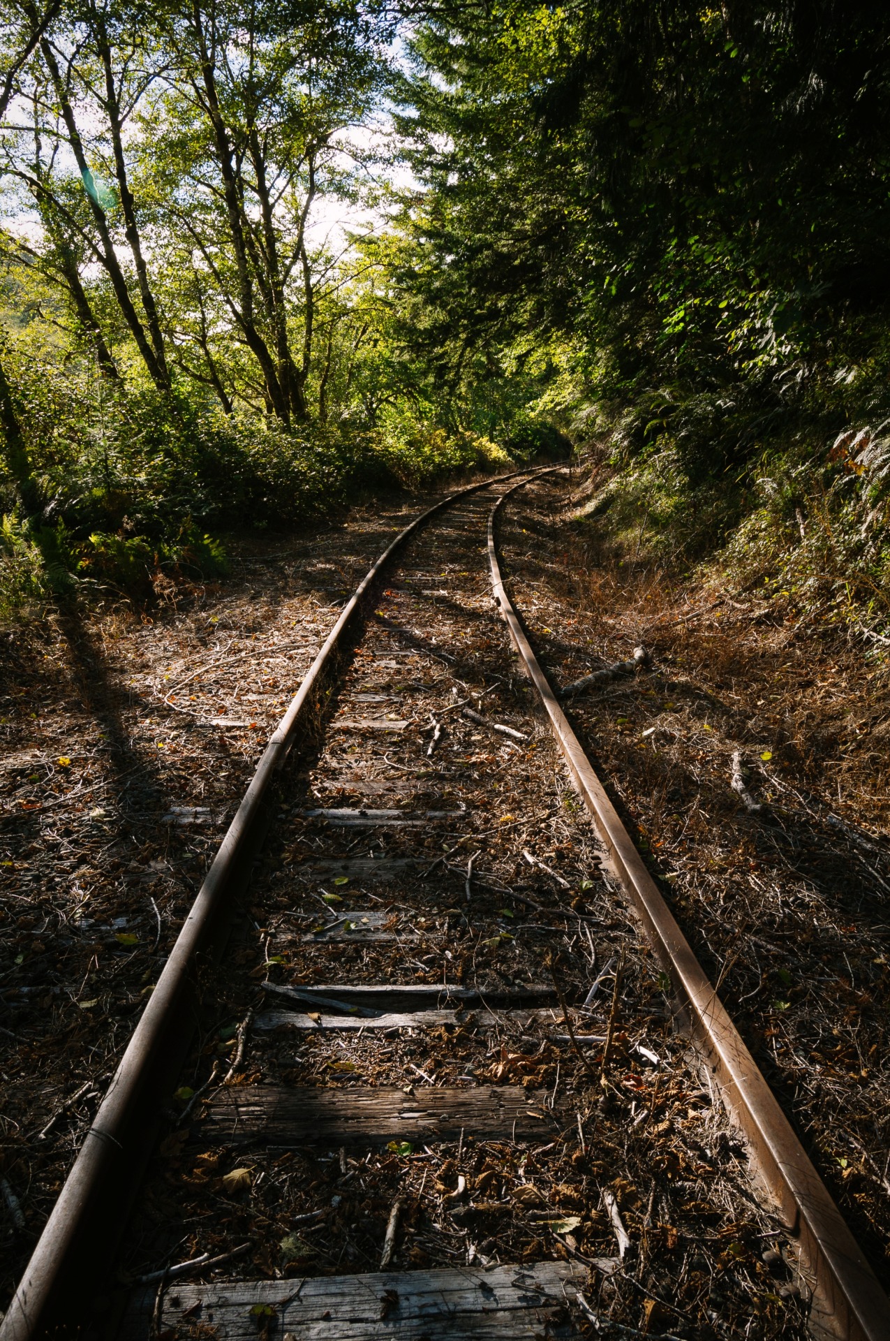 kovthephotographer:  Ghost Railways of Oregon 