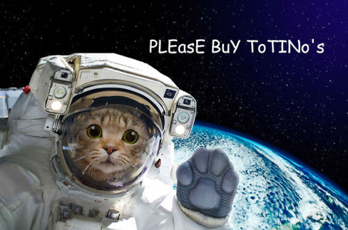 That cat looks pretty nervous, TBH. 