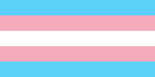 danielnelsen:  remember trans womenremember trans menremember nonbinary peopleremember trans people of colourremember disabled trans peopleremember mentally ill trans peopleremember every trans person who has lost their life due to transphobia today is