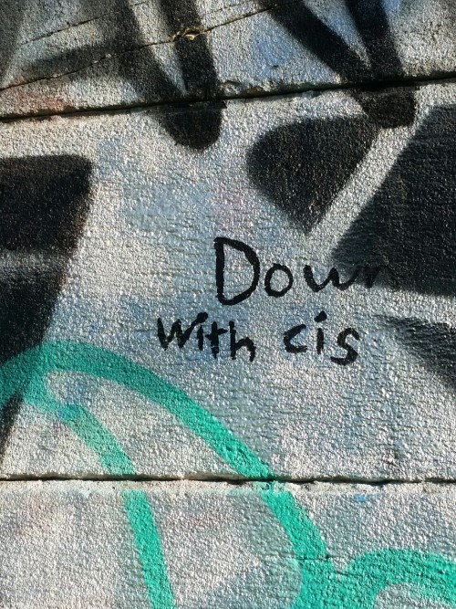 queergraffiti:“down with cis”Sydney, Australia