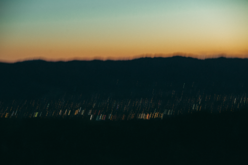 Rabbit Ranch.