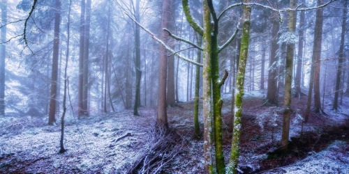 sapphire1707:foggy morning | by Stefan_Prech | ift.tt/1uB3WE8