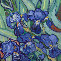 Irises (detail) by Vincent van Gogh