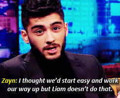  AU:  Model Zayn Malik meets Boxer Liam Payne at one of his fights. They may be