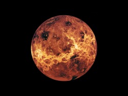 astronomyblog:    Global view of Venus from Magellan, Pioneer, and Venera data  Image credit: NASA