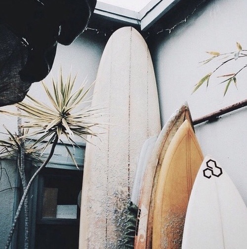 asurferdreams:  Surfing posts