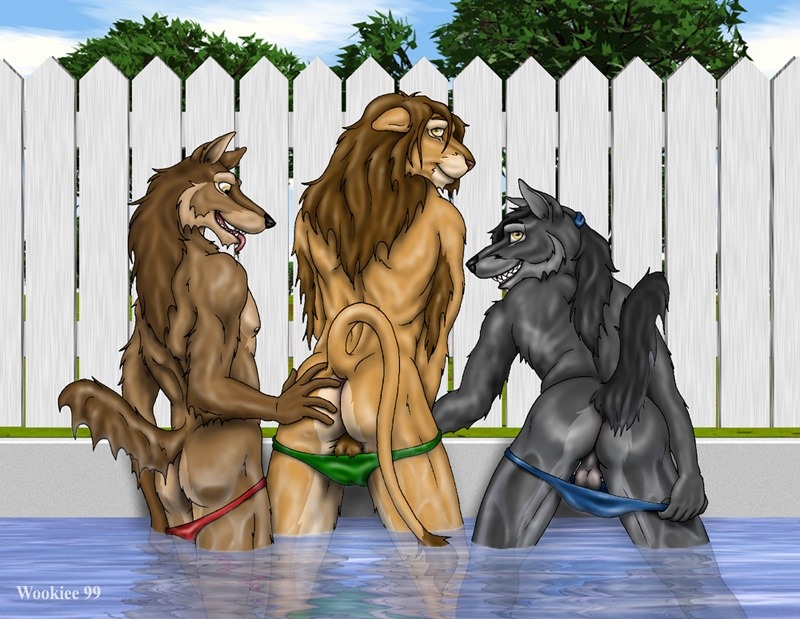 rawring-tiger:  Tiger and Lion butts for anon~ (Must touch the butts~) 