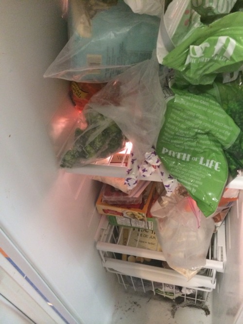 fandom-inc:  fandom-inc:  fandom-inc:  iM LAUGHING SO HARD THERE WERE TAMPONS IN MY FREEZER????????  I JUST ASKED MY BROTHER AND HE SAID THAT HE FOUND THE “POPSICLES” IN MOMMY’S BAG AND JUST DIDNT WANT THEM TO MELT IM LAUGHING  so he kept bothering