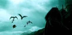 ϟ Harry Potter Meme |  ten anything [1/10] - Beauxbatons Academy of Magic