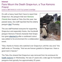 0killerx:May Grape-kun find Hululu and happiness.