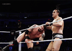 vivadelrio:  lil shits 