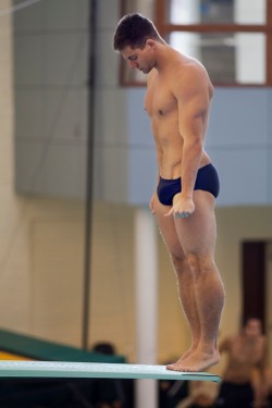 x1randevbprsiq29g4n:  Divers have much hotter bodies than swimmers.
