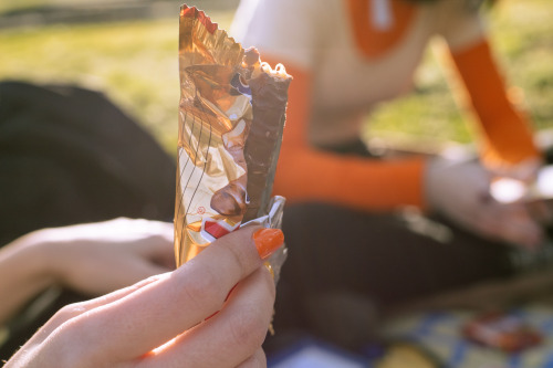 My Friends And I Had A Picnic In The Park Yesterday. Here Are Some Pictures I Took.
