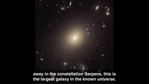 “IC 1101 Has Spent Most Of Its Life Colliding With Other Galaxies And Owes Its Size To These Collisions.