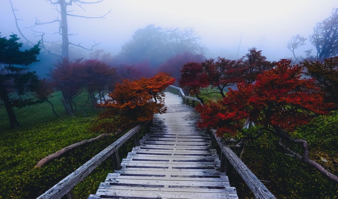 ponderation:  Nature by PK.DVD         Photographer’s  Instagram | Facebook 