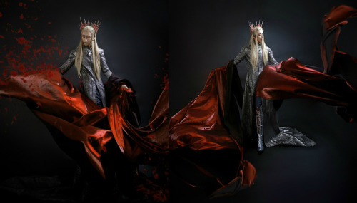 cosplaychina: The Hobbit | Thranduil by @coser小梦 | Stuff  @Bingo酱 @章鱼的陶罐 @ALLEN丁伦 @真的菜菜 @真