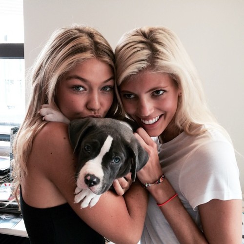 love4gigihadid:gigihadid look who I found at the office! @devwindsor &amp; @