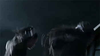 skyecandi:  sizvideos:  Video  are you fucking kidding me right now this is even better than the robin williams one 