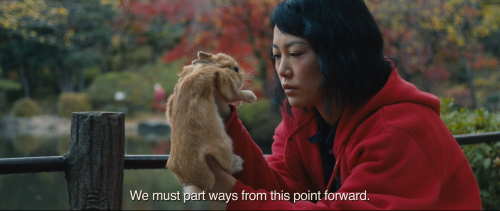 brand-upon-the-brain:Kumiko, the Treasure Hunter (David Zellner, 2014)goodbyes haunt me