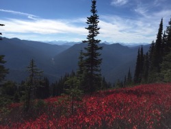 cabinology:  I love hiking! 