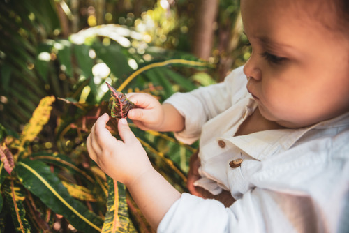 Baby Mika, Playa del Carmen Mexico 2019