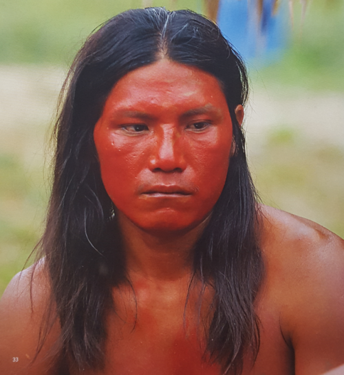 Waiãpi man covered in urucum Ph. by Zig Koch, 2005.