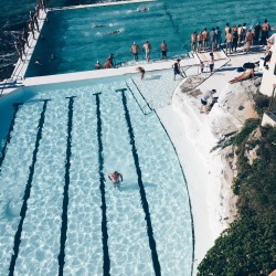 blxch:  icebergs, bondi  