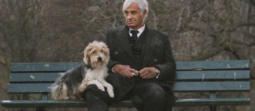 Jean Paul Belmondo with a beautiful dog in the film Un homme et son chien (2009).