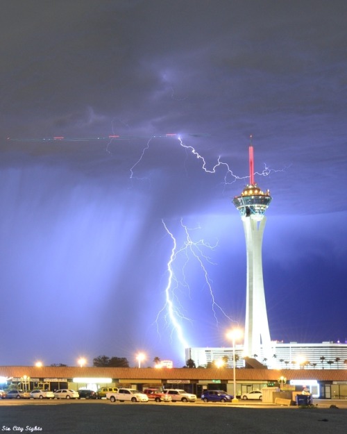 sin-city-sights:I’m sure everyone that lives here in Vegas knows we had one hell of a lightning storm blow through the west side last night. I was taking the dog for her walk when I saw the lightning off to the west. Just as we got back to the house