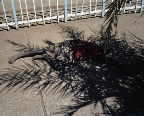 Viviane Sassen