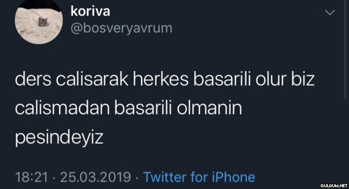 koriva @bosveryavrum ders...