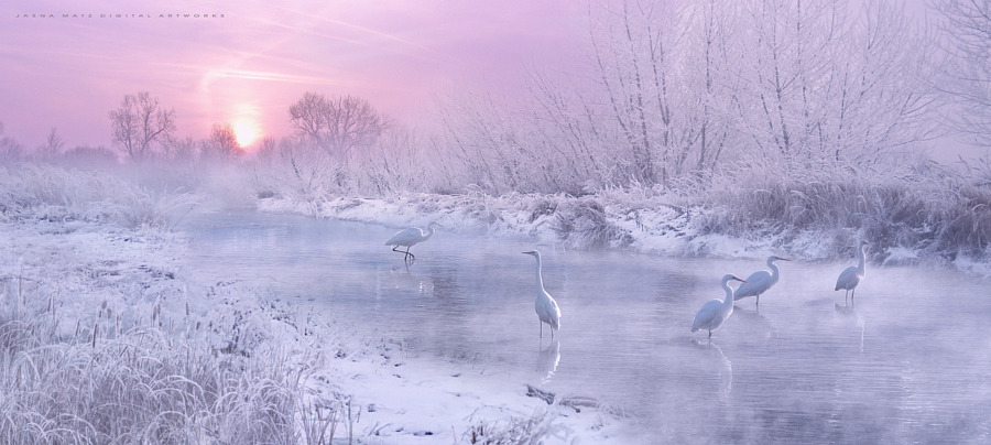 drxgonfly:  Winter Fairytale (by   Jasna Matz)