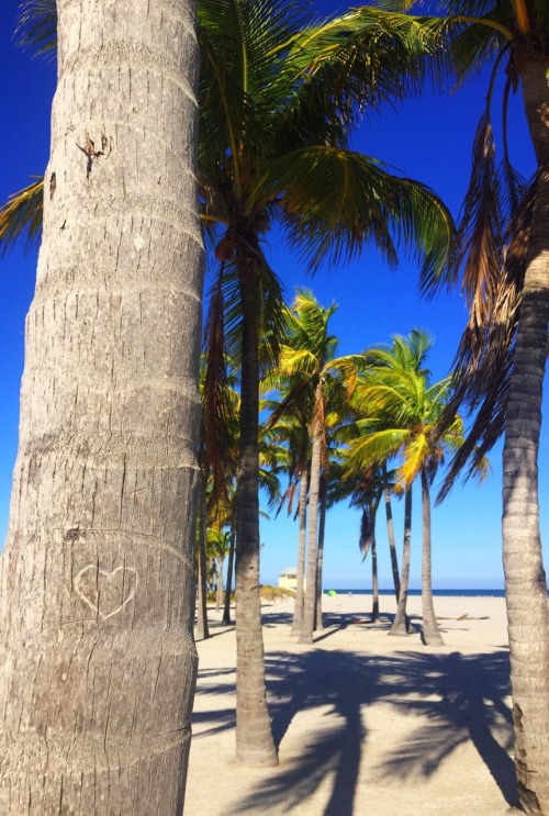 Cradon Beach, Florida