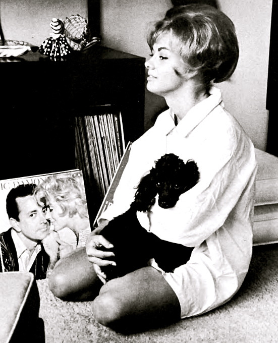 girlsgonevinyl:  PHYLLIS SHERWOODPlayboy’s Playmate of the Month, August 1963 