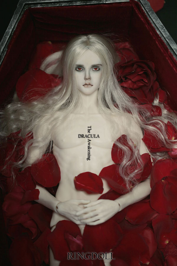 ringdoll:  New release of Ringdoll–Dracula.Dracula is a limited edition with unique