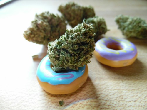 smoketogethighcustheworldissolow:  So i heard ya’ll like doughnuts? 