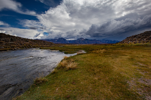 somewhere near bishop in the owen’s valley looking for some hot springs©cpleblow (September 2014)