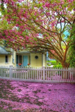 Jae-Lavie:  Beautiful View On We Heart It - Http://Weheartit.com/Entry/58524928/Via/Jaelavie
