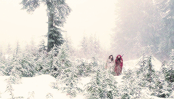 ouatdaily:  Once Upon a Time + colors        