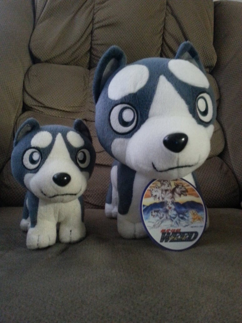 lycanroc plush gamestop