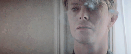 eighties-pterodactyl:  The Hunger. 