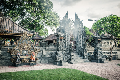 tony-f-photography:  Indonesia, Bali Ubud 2015