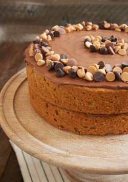 foodffs:  PEANUT BUTTER CAKE WITH CHOCOLATE