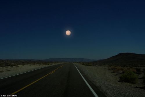 fuckyeahsexanddrugs:  How other planets would look from Earth if they were the same distance away as
