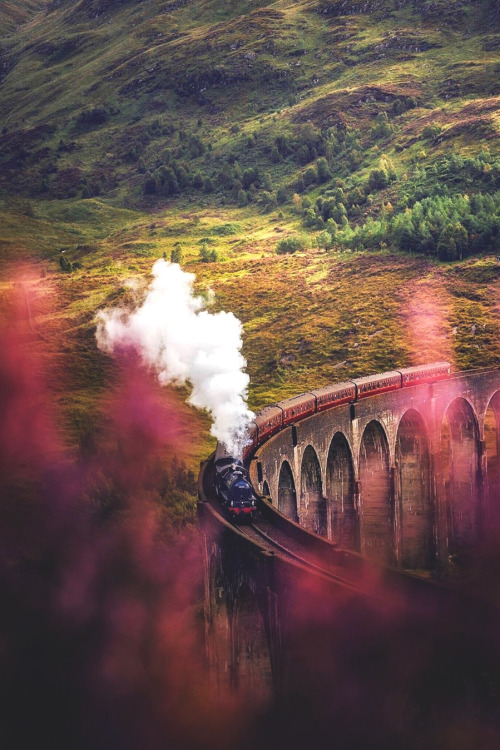 lsleofskye:    The famous Jacobite Harry potter train 📸🧙🏼‍♀️ | intothefabLocation: Jacobite Train, Fort William, Scotland